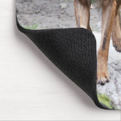 iberischer Wolf Mousepad (Ecke)