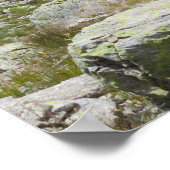 Ibex Chamonix Französische Alpen Poster (Ecke)