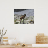 Ibex Chamonix Französische Alpen Poster (Küche)