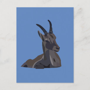 Ibex Goat Animal Art Goat Postkarte