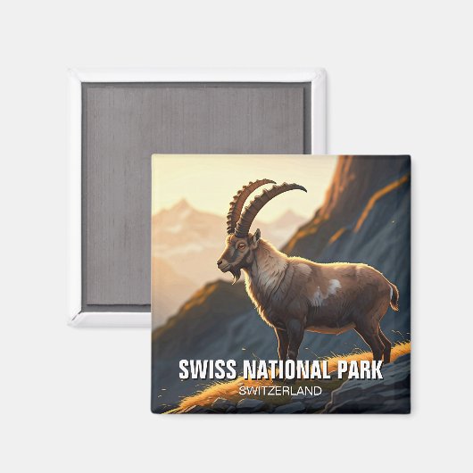 Ibex im Schweizer Nationalpark Schweiz Magnet (Vorderseite/Rückseite)