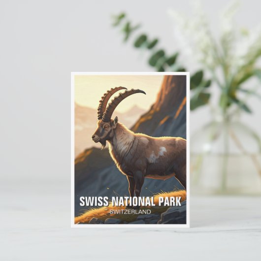 Ibex im Schweizer Nationalpark Schweiz Postkarte (Stehend Vorderseite)