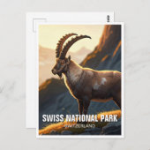 Ibex im Schweizer Nationalpark Schweiz Postkarte (Vorne/Hinten)