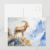 Ibex in den Alpen Aquarellmalerei Postkarte (Vorne/Hinten)