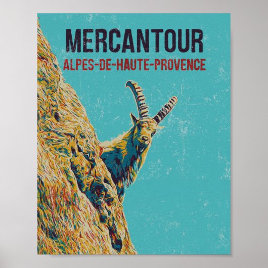 Ibex in Mercantour, Alpen, Frankreich Poster (Vorne)