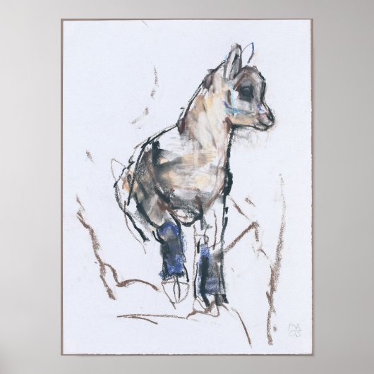 Ibex Kid Poster (Vorne)