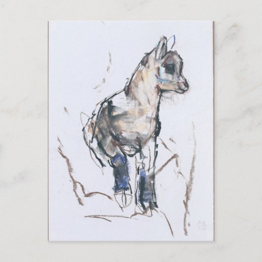 Ibex Kid Postkarte (Vorderseite)