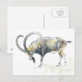 Ibex Nubian 2008 Postkarte (Vorne/Hinten)