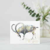 Ibex Nubian 2008 Postkarte (Stehend Vorderseite)