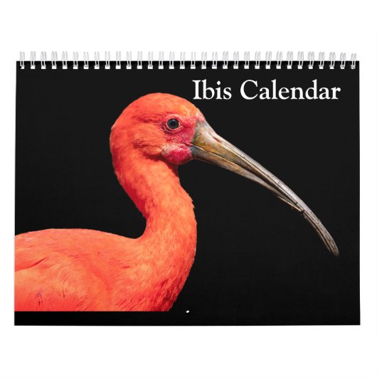 Ibis-2025-Kalender Kalender (Titelbild)