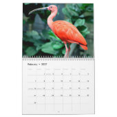 Ibis-2025-Kalender Kalender (Feb 2027)