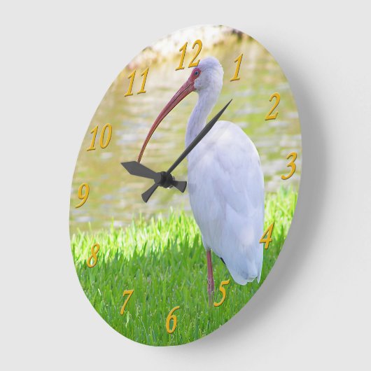 Ibis auf einem Halbbild Große Wanduhr (Winkel)