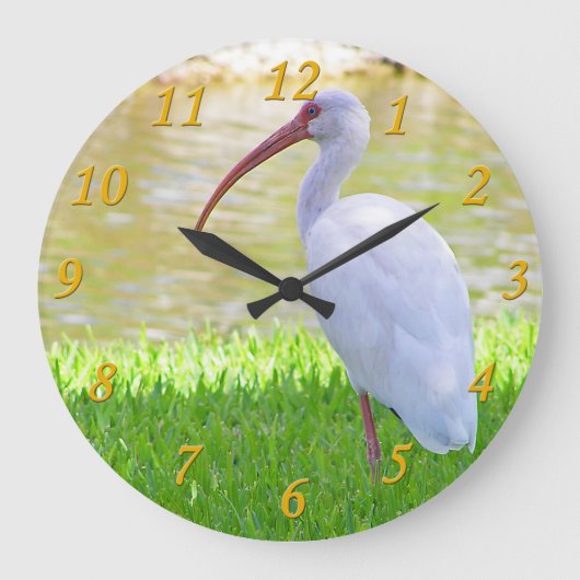 Ibis auf einem Halbbild Große Wanduhr (Vorderseite)