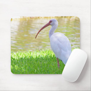 Ibis auf einem Halbbild Mousepad