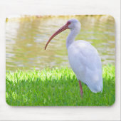 Ibis auf einem Halbbild Mousepad (Vorne)