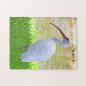 Ibis auf einem Halbbild Puzzle (Horizontal)