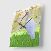 Ibis auf einem Halbbild Quadratische Wanduhr (Winkel)