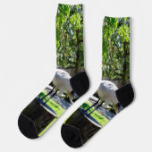 Ibis (Bin Chicken) auf einem Log, Crew Socks Socken (Linkes Detail)