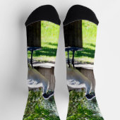 Ibis (Bin Chicken) auf einem Log, Crew Socks Socken (Oben)