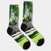 Ibis (Bin Chicken) auf einem Log, Crew Socks Socken (Rechts)