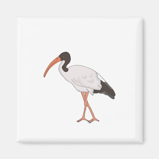 Ibis Bin Chicken Bird Magnet (Vorne)
