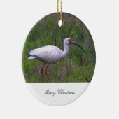 Ibis Bird Foto Ornament (Rechts)