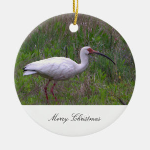 Ibis Bird Foto Ornament
