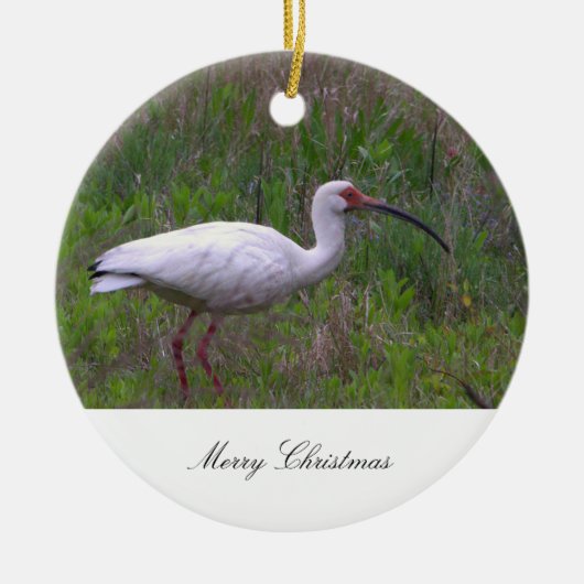 Ibis Bird Foto Ornament (Vorne)