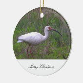 Ibis Bird Foto Ornament (Links)