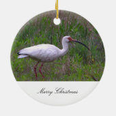Ibis Bird Foto Ornament (Hinten)