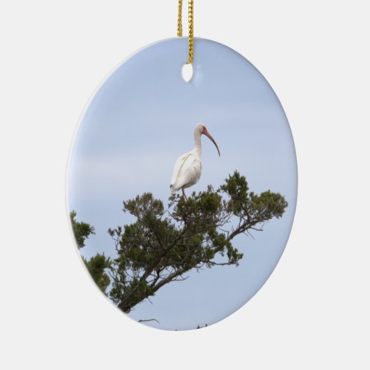 Ibis Bird Ornament (Rechts)