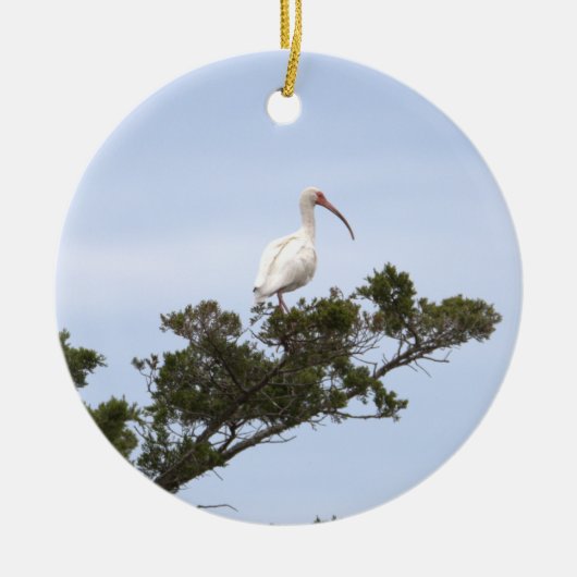 Ibis Bird Ornament (Vorne)