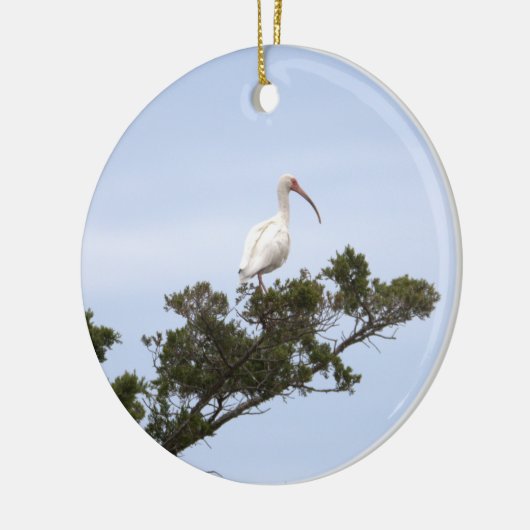 Ibis Bird Ornament (Links)