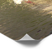 Ibis Birds in Water Poster (Ecke)