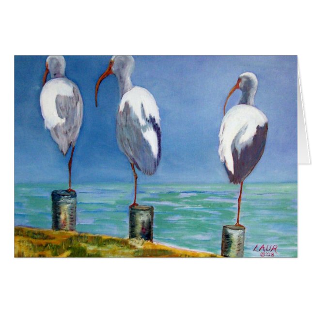 Ibis Design (Vorderseite (Horizontal))