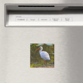 Ibis Drinks im Pond Magnet (In Situ (Geschirrspüler))