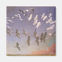 Ibis-Fliegen über Feuchtgebiete, Vintage Vögel