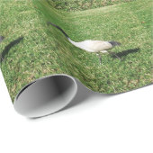 IBIS GESCHENKPAPIER (Rolleneckpunkt)