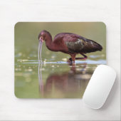 Ibis in die Teiche Mousepad (Mit Mouse)
