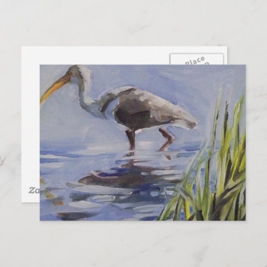 Ibis in Grassy Marsh Postkarte (Vorne/Hinten)