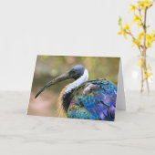 Ibis Karte (Gelbe Blume)