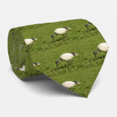 IBIS KRAWATTE (Gerollt)