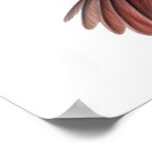 Ibis-Trägerflügel Kleine Poster (Ecke)