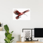 Ibis-Trägerflügel Kleine Poster (Heimbüro)