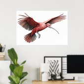 Ibis-Trägerflügel Poster (Heimbüro)