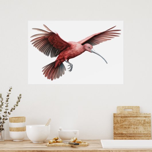 Ibis-Trägerflügel Poster (Küche)