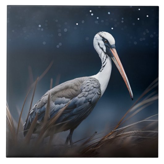 Ibis um Mitternacht Fliese (Vorderseite)