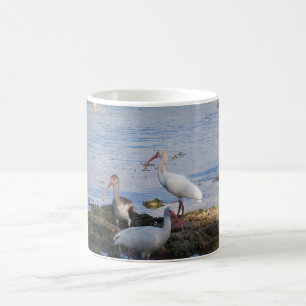 Ibis-Vögel am Ufer der Bucht von Florida Kaffeetasse