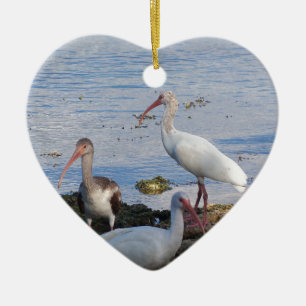 Ibis-Vögel am Ufer der Bucht von Florida Keramikornament