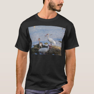 Ibis-Vögel am Ufer der Bucht von Florida T-Shirt